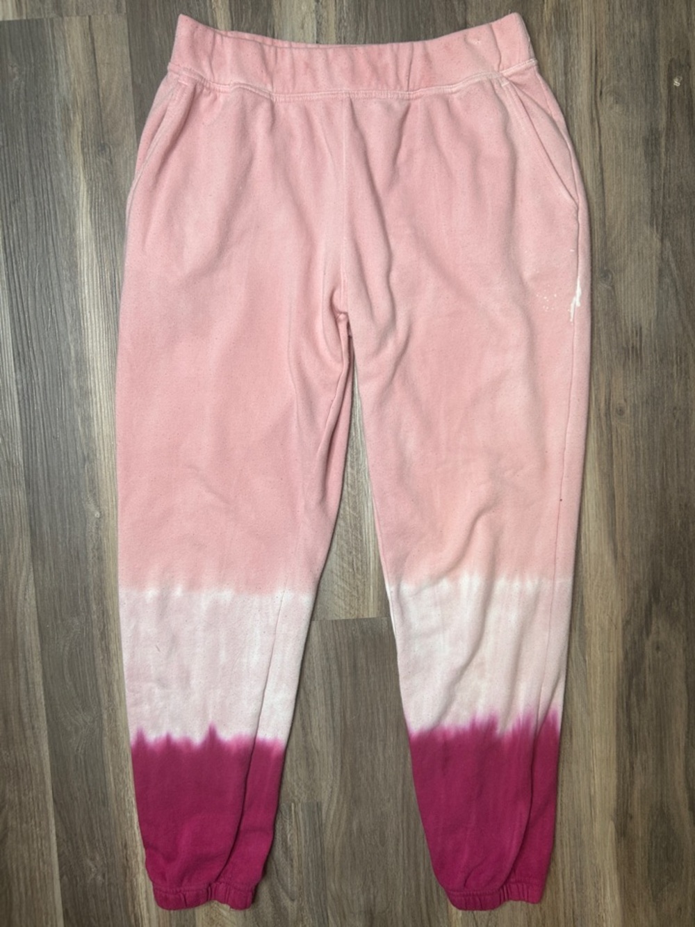 Wildfox Jogger Sweatpants Tie Dye